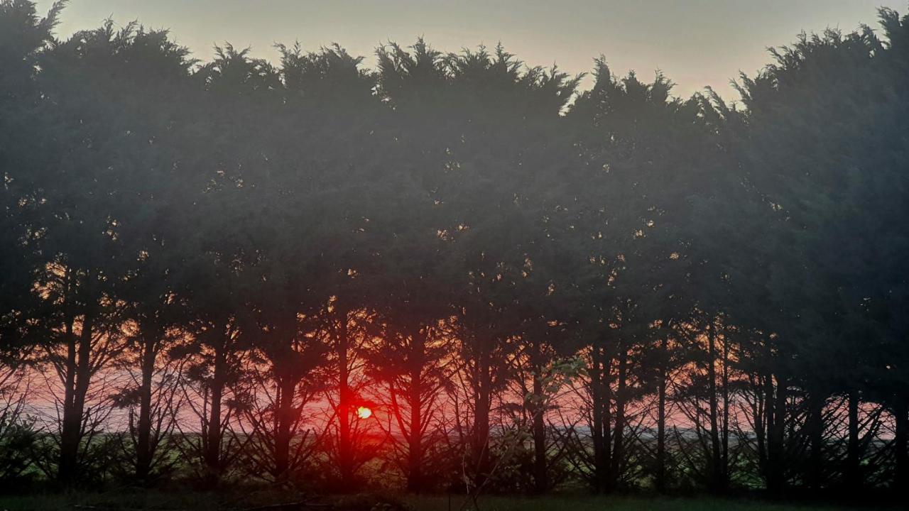 Вилла Bois De Crane Landes-le-Gaulois Экстерьер фото